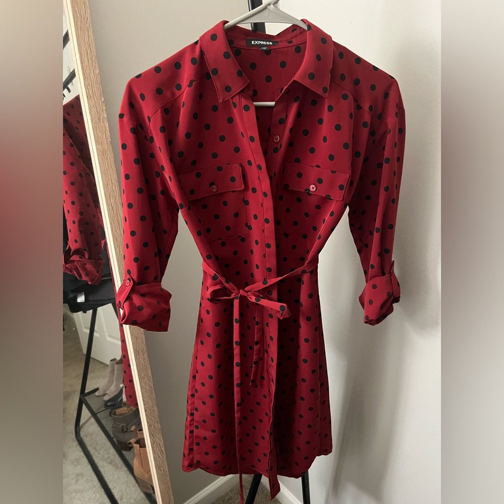 Express Red Polka Dot Dress